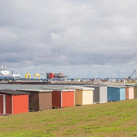 Direkt Am Deich - Ferienwohnung Amrum Im Gaestehaus Am Badedeich Dagebüll Zewnętrze zdjęcie